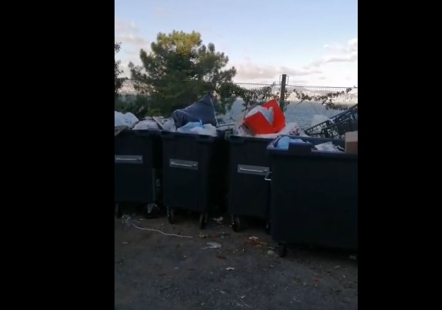 Heybeliada Zeytinlik Mevkiinde Çöp Krizi: Sorun Çözülmüyor, Sadece Yer Değiştiriyor!