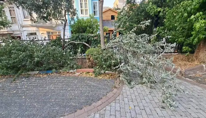 Heybeliada’da Beklenen Fırtına Etkisini Gösterdi: Şiddetli Rüzgar Ağaç Devirdi