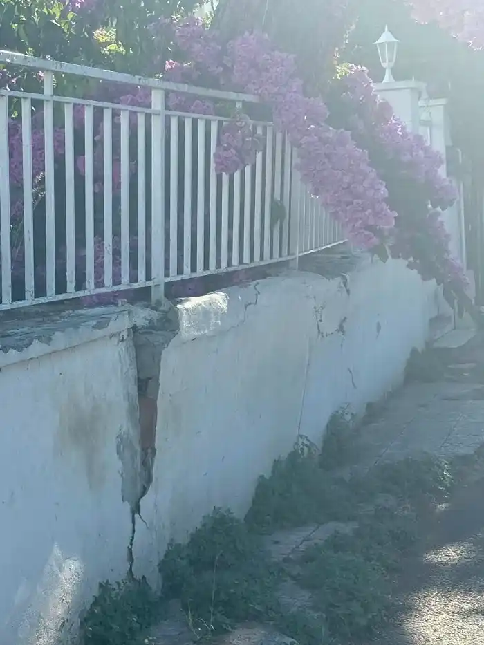 Büyükada’da Ağaç Duvarı Yıktı, Korkulukları Eğdi