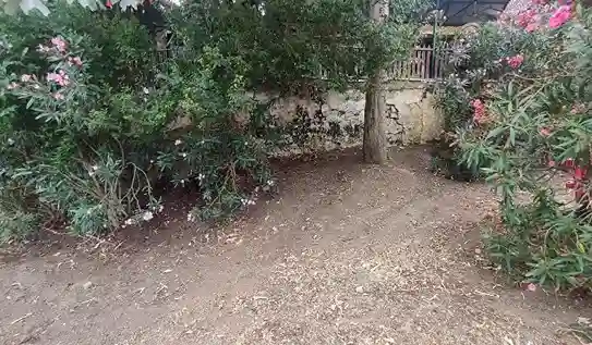 Büyükada’da Alkışlanacak Hareket: Lunapark Çalışanlarından Örnek Çevre Temizliği