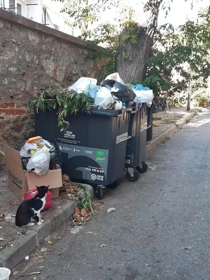 Büyükada’da Çöp Krizi: Prens Adaları’na Yakışmayan Görüntüler!