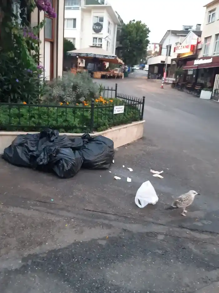 Büyükada’da Çöp Ve Moloz Çilesi: Sokaklar Atık Yığınlarıyla Doldu