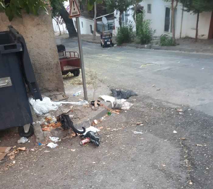 Büyükada’da Sabah Manzarası: Konteynerlerden Taşan Çöpler ve Çevre Kirliliği Tepki Çekiyor