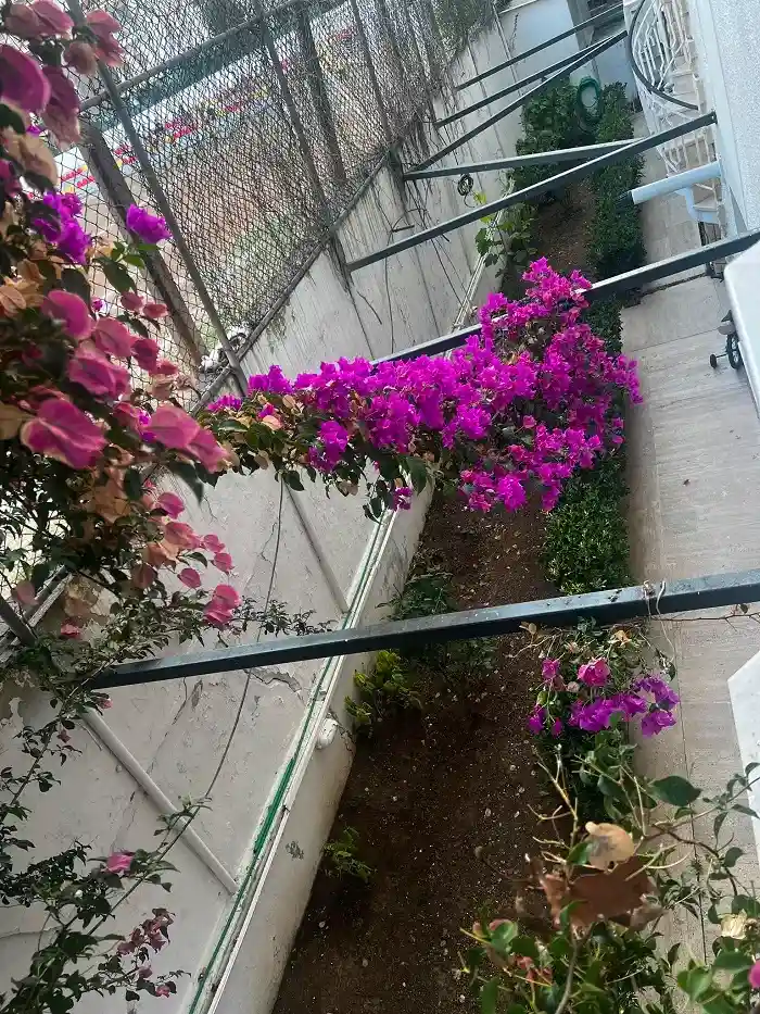 Kınalıada Top Sahasında Faciaya Davetiye: Çatlayan Duvar Yaşam Alanlarının Üzerine Eğildi