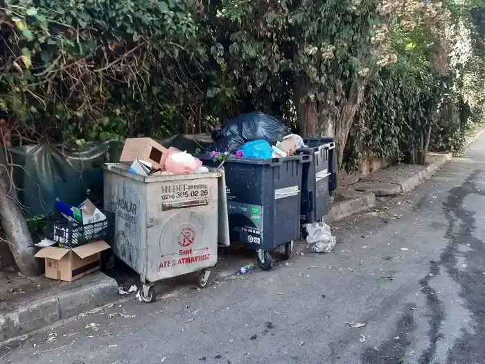 Büyükada Sokaklarında Çevre ve Hijyen Alarmı