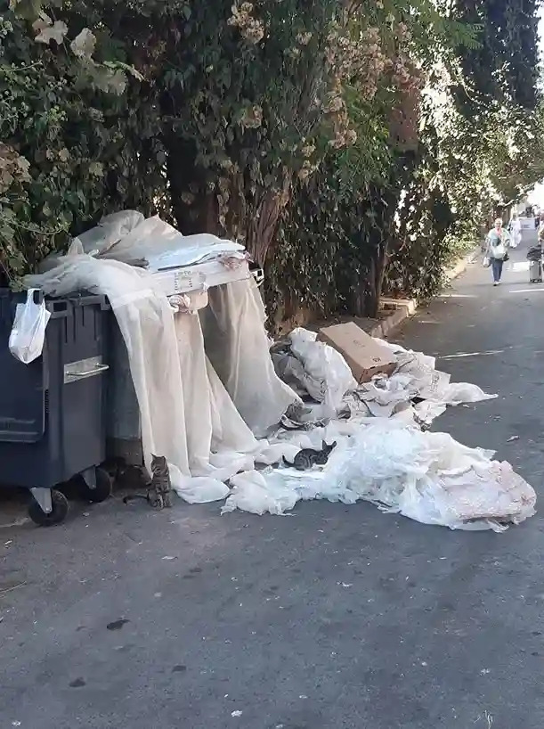 Büyükada’da Çöp Ve Çevre Kirliliği Tepki Çekiyor: Turizmin İncisine Yakışmayan Görüntüler