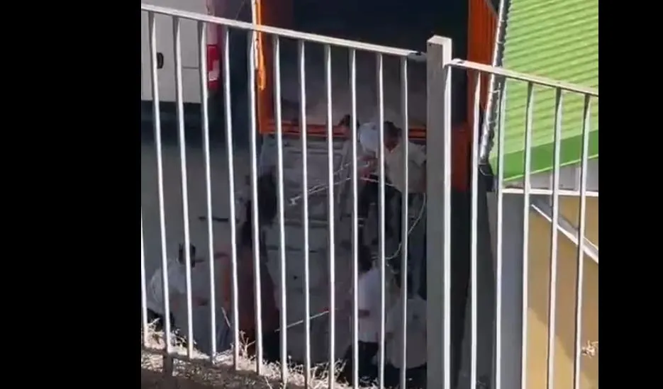 Büyükada’daki Son Atlar da Anakaraya Taşındı: Hayvanseverler Tepkili