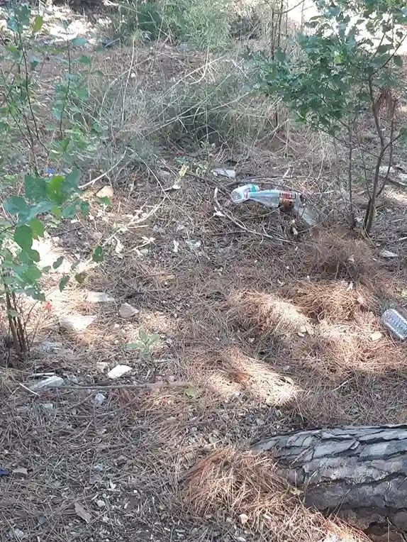 Kınalıada Su Sporları Kulübü Çevresinde Çöp Ve Bakımsızlık Tepki Çekiyor