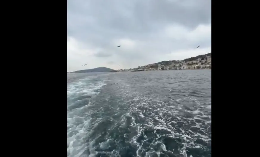 Adalar-Kabataş Vapurunda Martıların Eşliğinde Marmara Manzarası