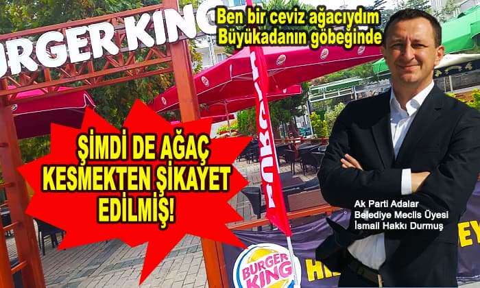 AKP meclis üyesi şimdi de ağaç kesmekten şikayet edilmiş!