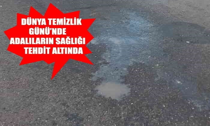 Dünya Temizlik Günü, Adalar’da pis sularla kutlandı!!!