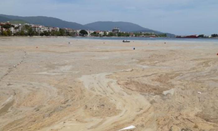 Avşa Adası kıyılarını deniz salyası kapladı (2)