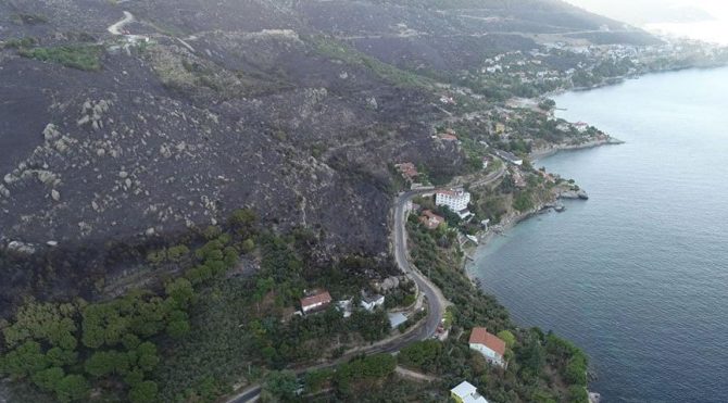 Marmara Adası’ndaki orman yangınında 80 hektar kül oldu