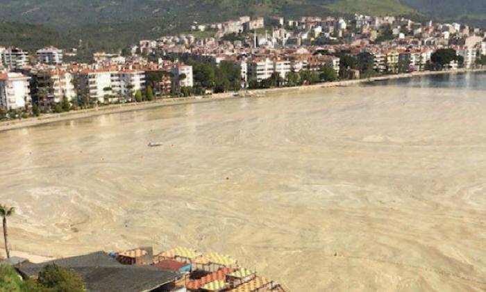 Marmara Denizi’nde salya kabusu sürüyor: Erdek Körfezi de deniz salyasıyla kaplandı